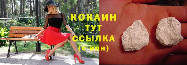 гашик Кукмор